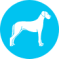 Icon of a large dog