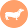 Icon of a small dog